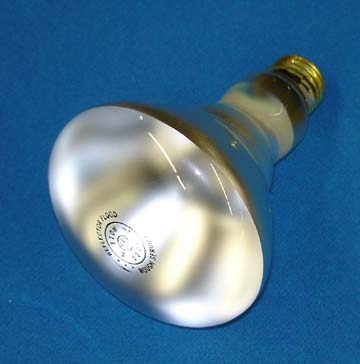 BULB FLOOD LAMP 120V FLUORESCENT [BB2023] for ICE game(s)