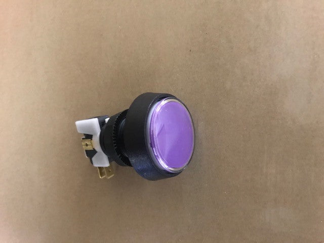 BUTTON (PURPLE) [CE2004] for ICE game(s)